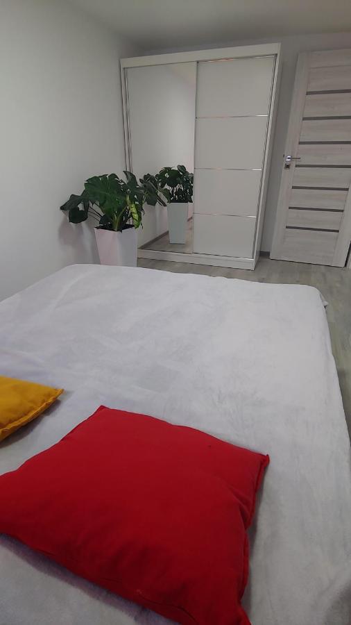 Apartament Arkadia Storczyk 奥古斯图 外观 照片